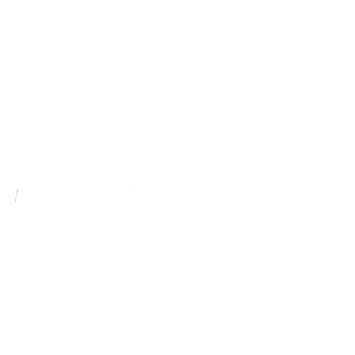 Weight